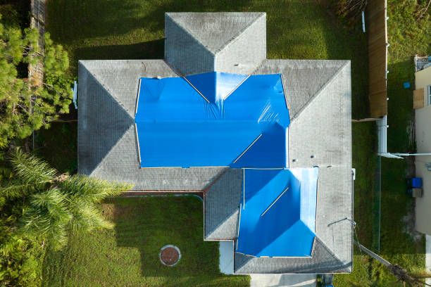 Best Roof Moss and Algae Removal  in Belmont, NC