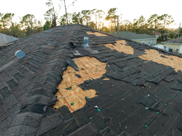 Best Roof Maintenance and Cleaning  in Belmont, NC